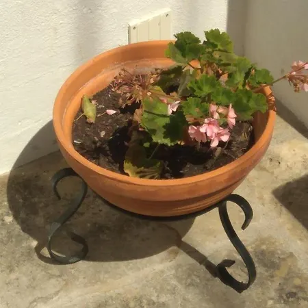 Casa Mateus - Colares, Parque Natural Cascais Vakantiehuis